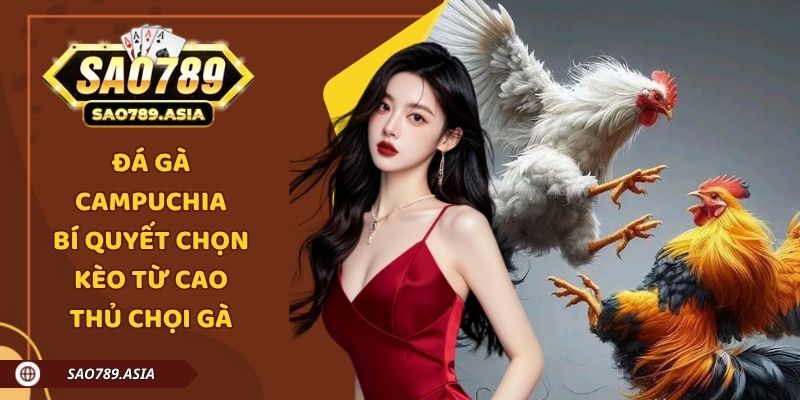 Đá Gà Campuchia - Bí Quyết CHọn Kèo Từ Cao Thủ Chọi Gà